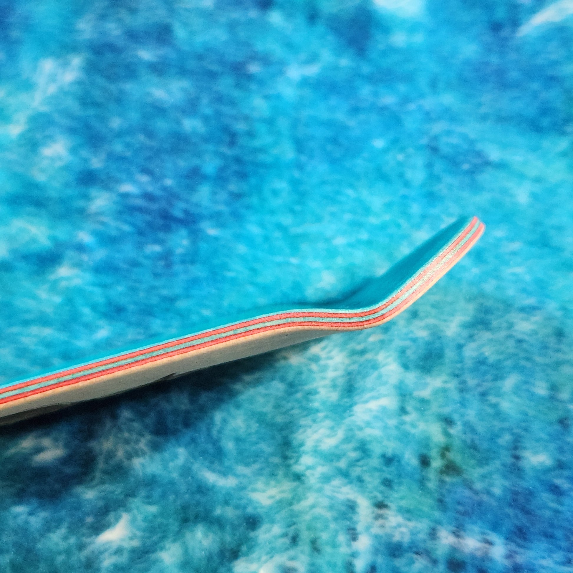 Zelda Handbra - 36mm Fingerboard Blem Deck